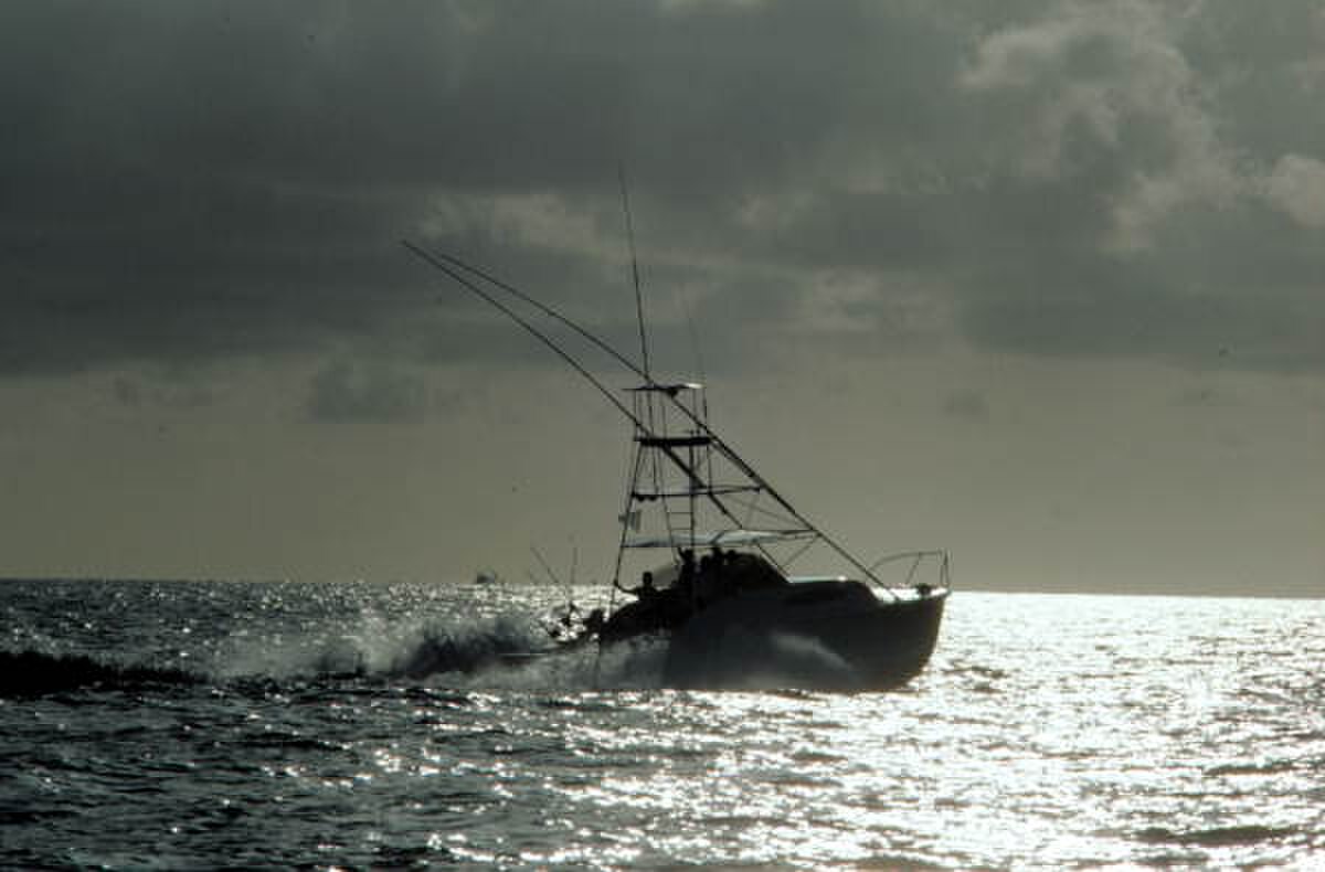 Charter fishing boat departing Cabo San Lucas marina for deep sea fishing