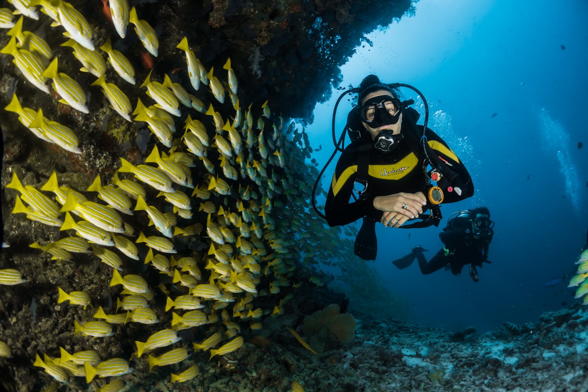 Snorkeling in clear waters near La Playita San Jose del Cabo