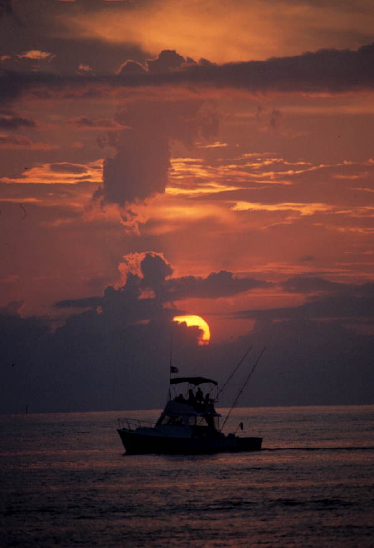 Sportfishing boat landing a marlin off Cabo San Lucas in the Sea of Cortez