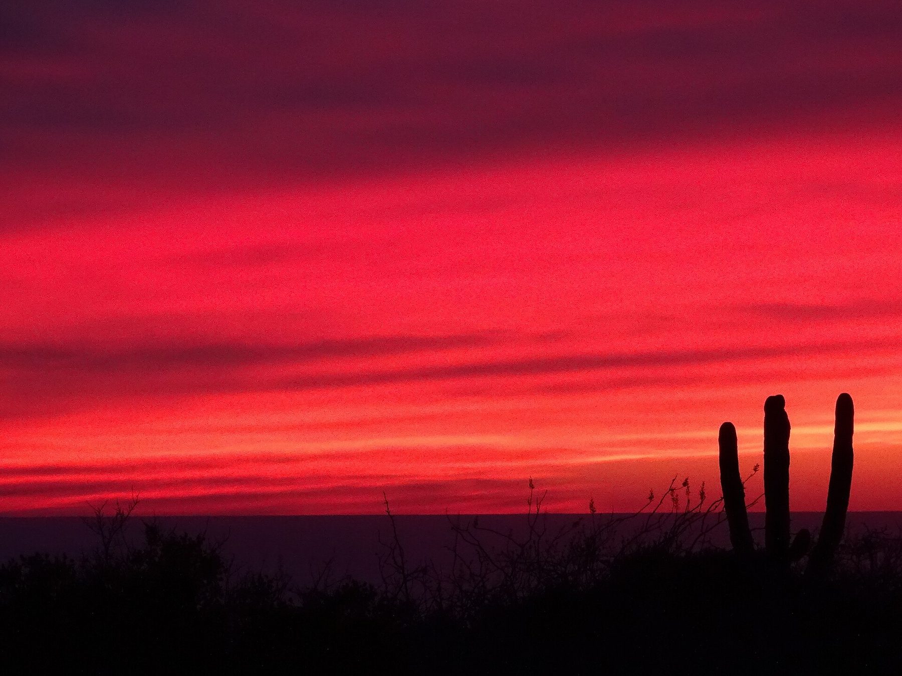 Pacific sunset at Cerritos on the Todos Santos coast