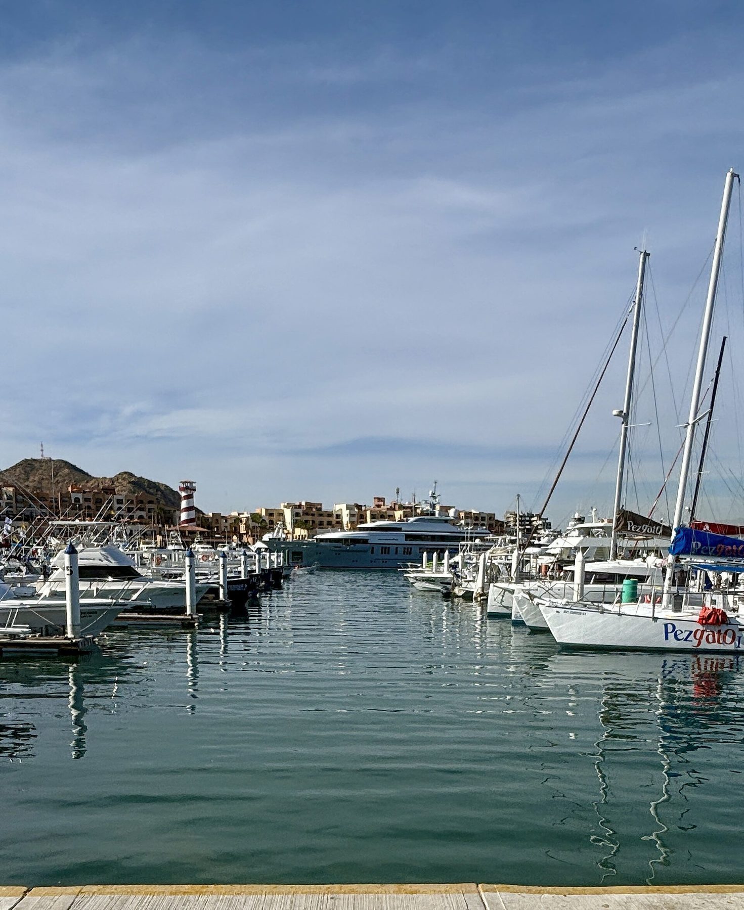 Cabo San Lucas vibrant nightlife scene with restaurants and bars along the marina