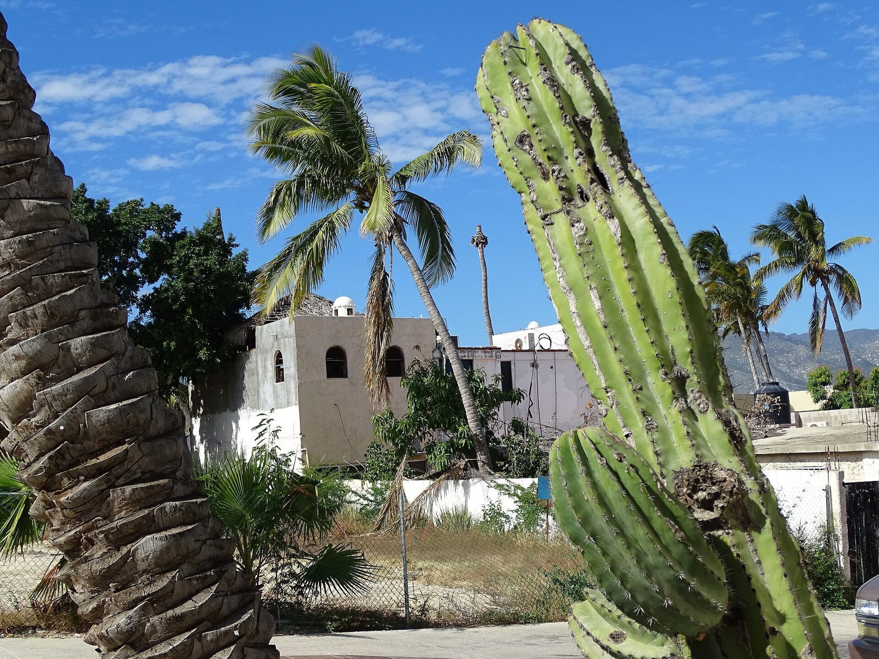 Charming colonial street in San Jose del Cabo near properties available to American buyers