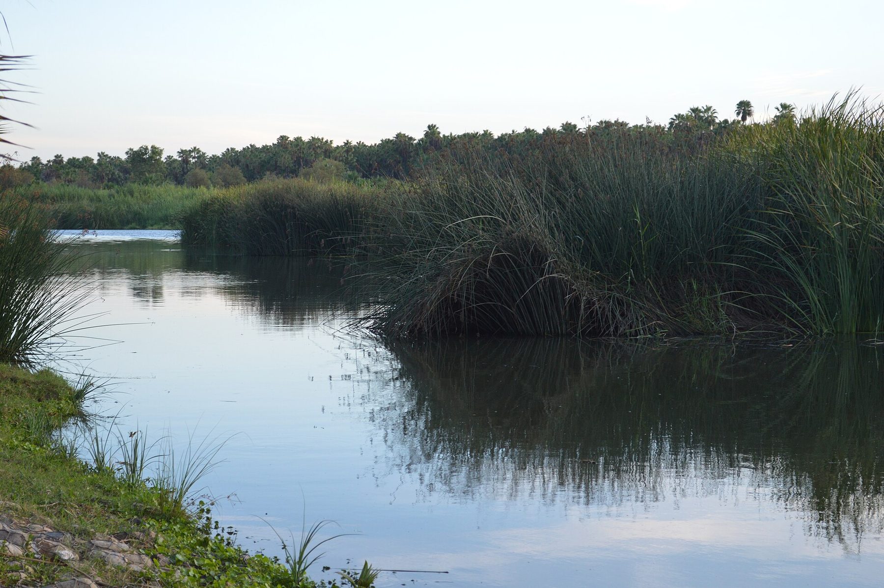 The San Jose del Cabo estuary and valley, the fertile pocket where the area's organic farms sit