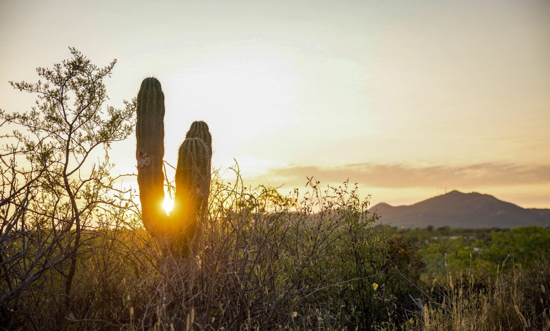 Twin Dolphin golf community with luxury homes and mountain views in Los Cabos