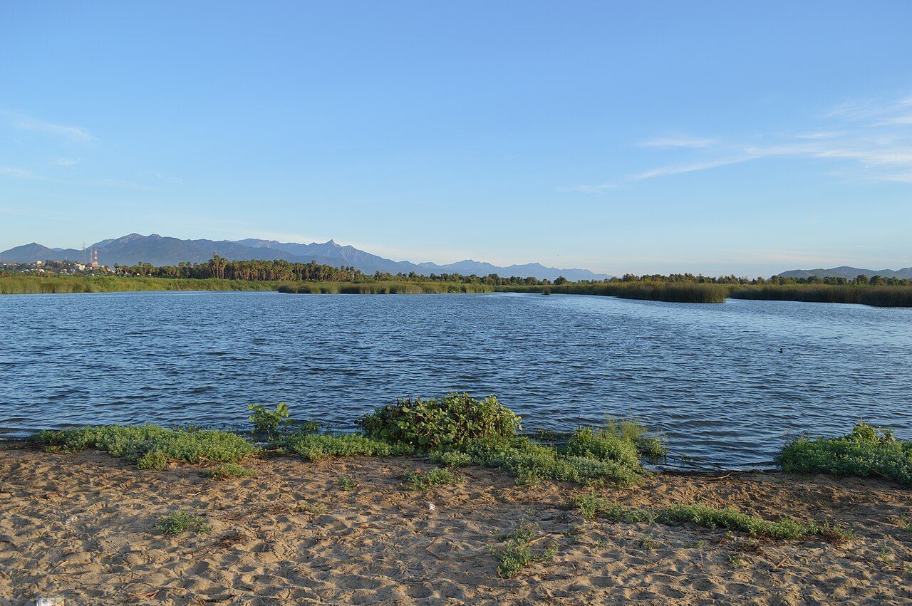 La Playita & the Estuary: San Jose del Cabo's Hidden Gem