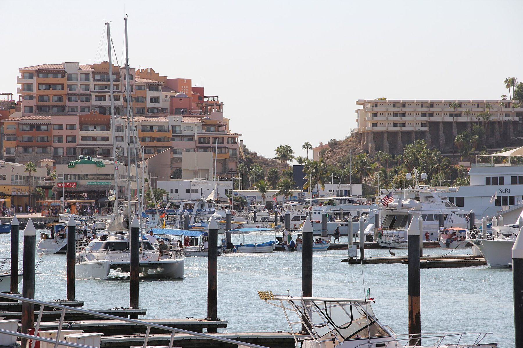 Cabo San Lucas Marina with yachts at berth