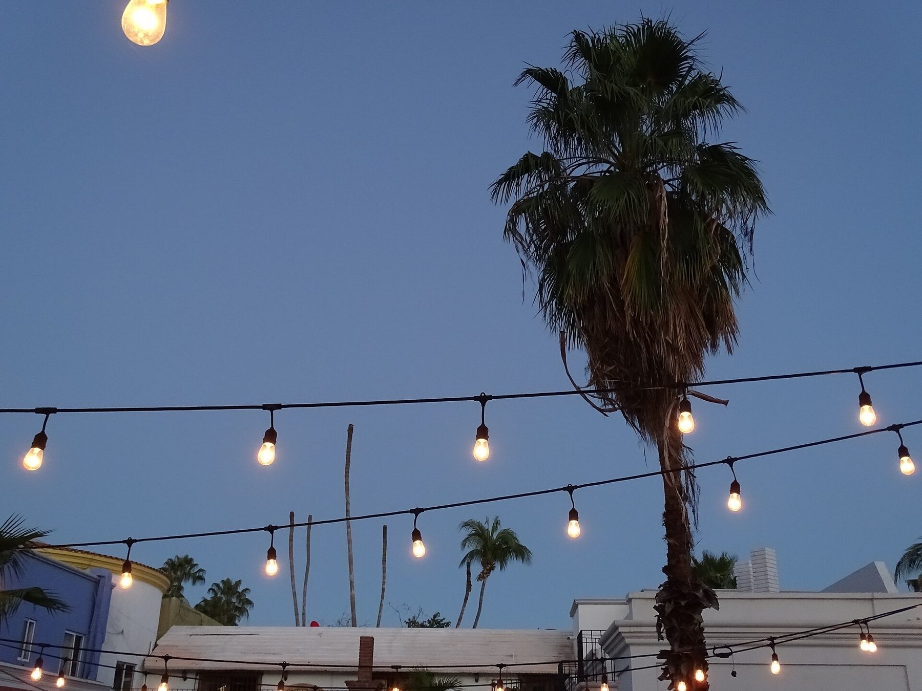 San Jose del Cabo's historic centre at dusk
