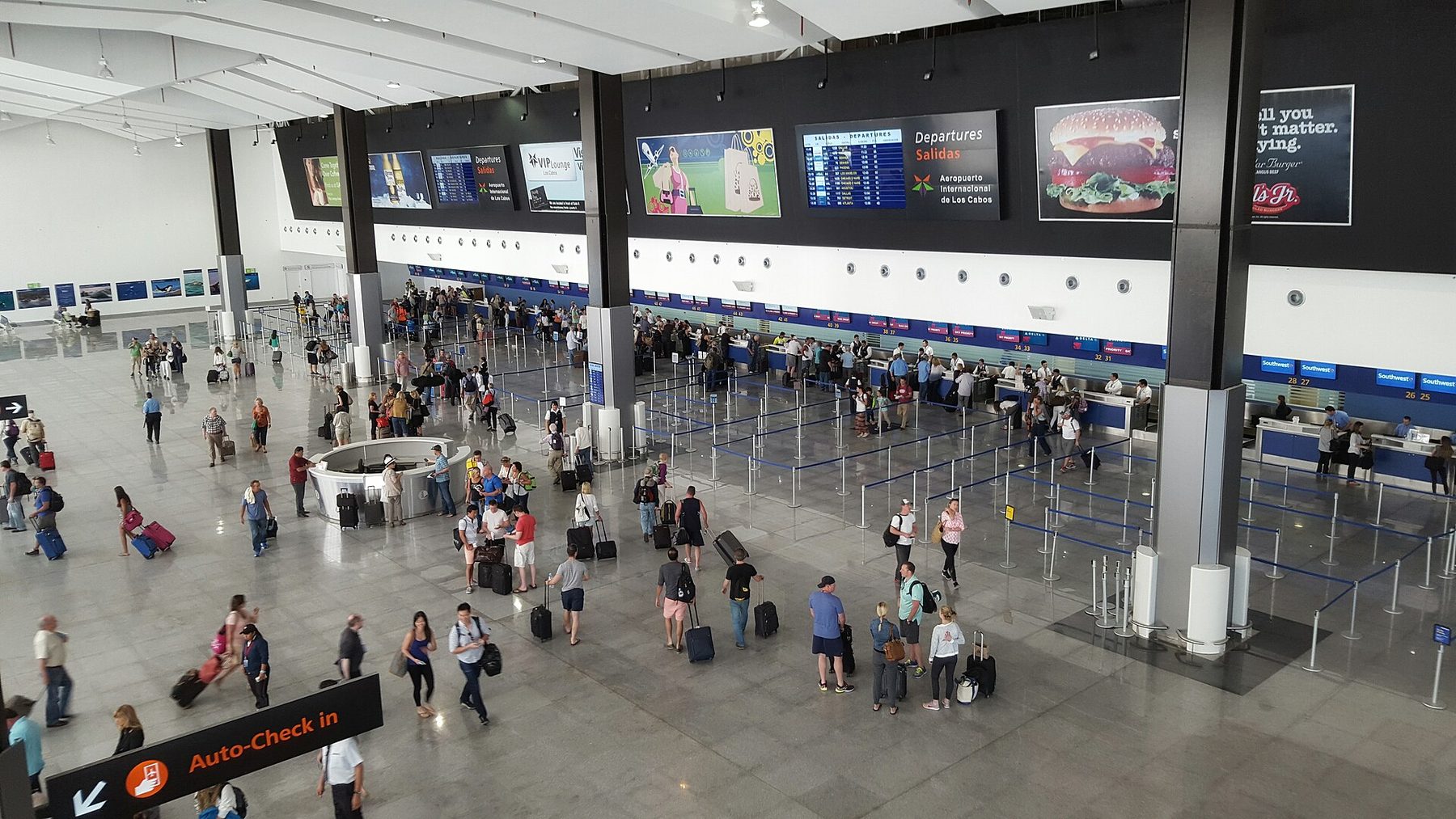 SJD Airport & Cabo Transportation: The Complete 2026 Guide