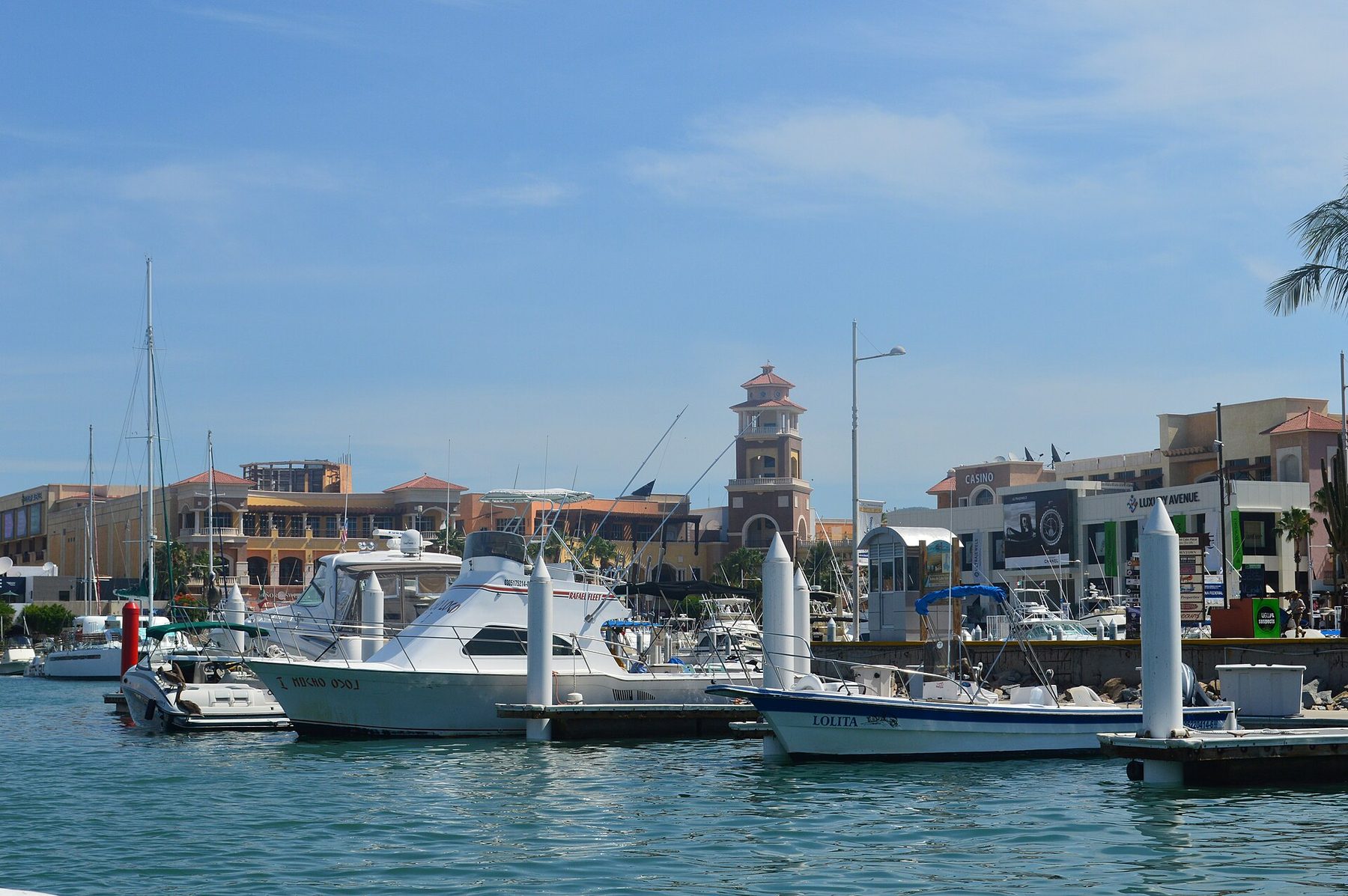 Boats docked at a marina in Los Cabos