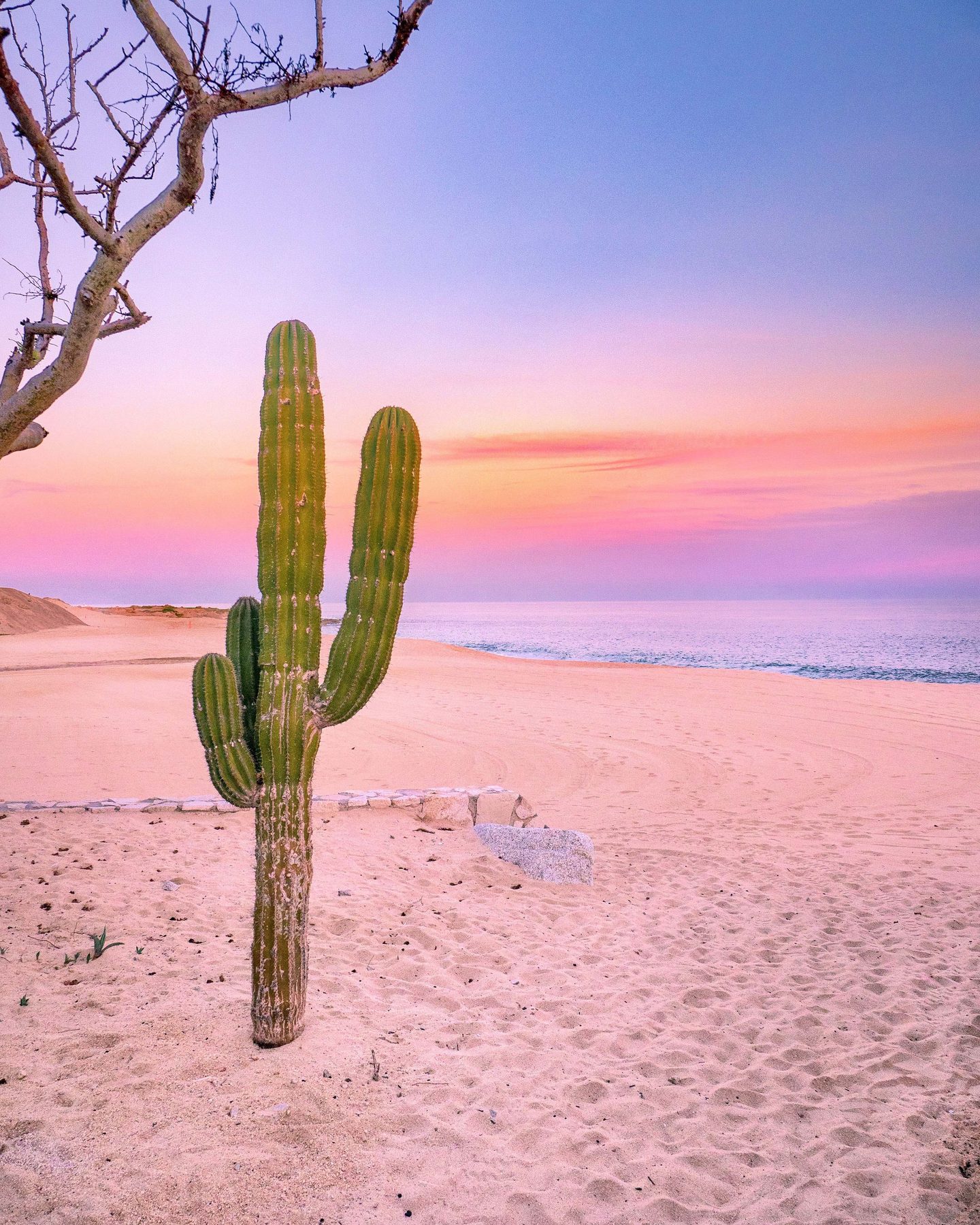 Yoga & Wellness Retreats in Los Cabos: Where Desert Meets the Sea